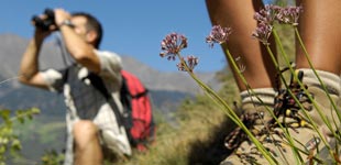 Offerta speciale: pacchetto trekking Offerta speciale: pacchetto trekking