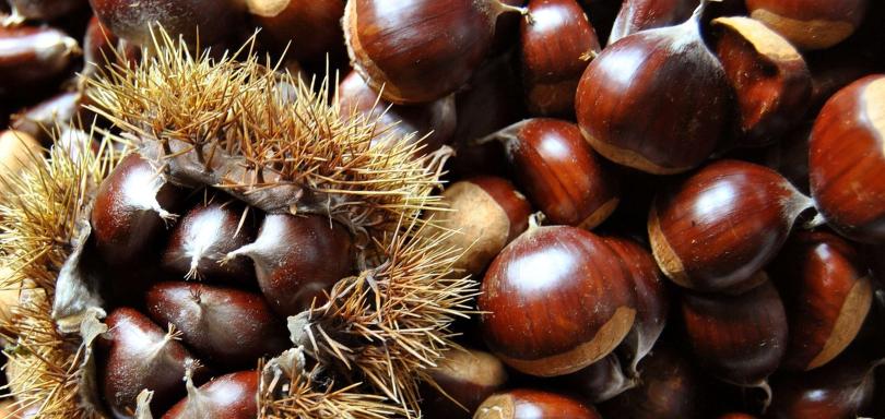 Settimana delle castagne